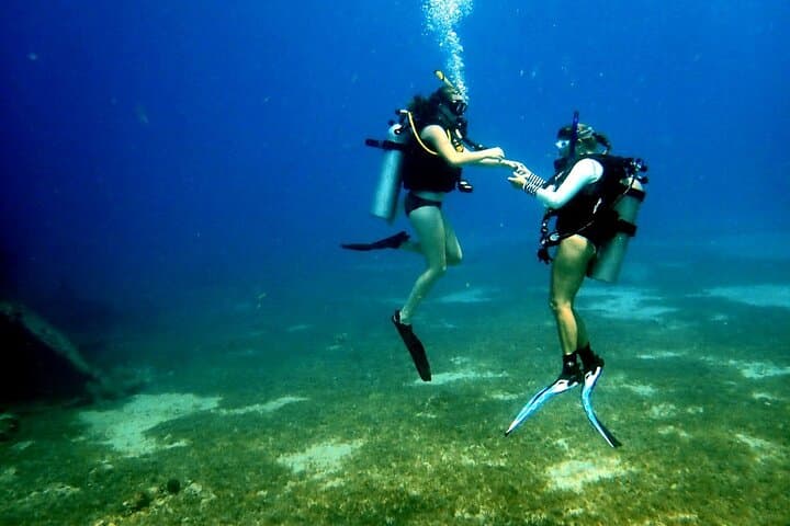 Discover Scuba and Snorkel Excursion in Charlotte Amalie — One-Tank Dive in a Protected Cove photo 4