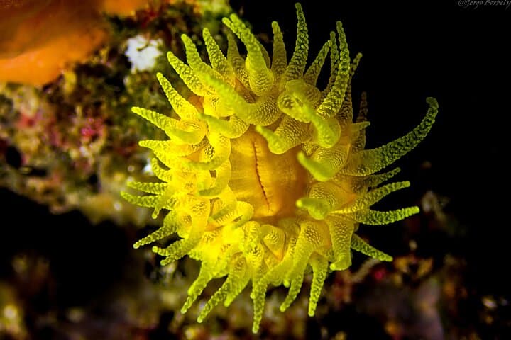PADI Refresher Course in L'Estartit — Costa del Montgrí Dive Renewal photo 3