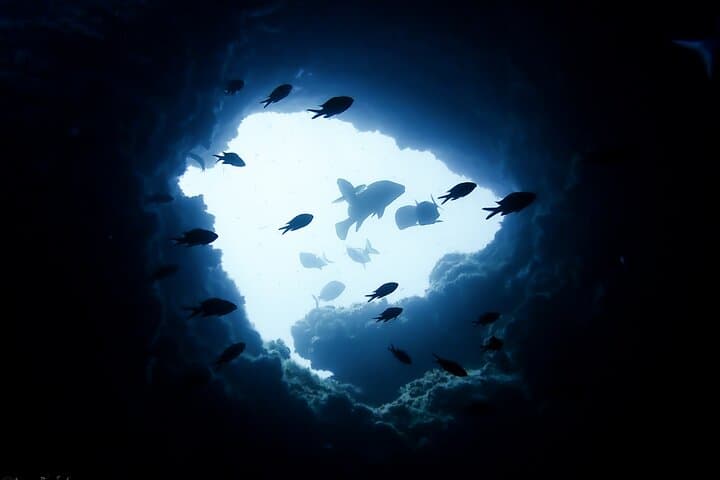 PADI Refresher Course in L'Estartit — Costa del Montgrí Dive Renewal photo 4