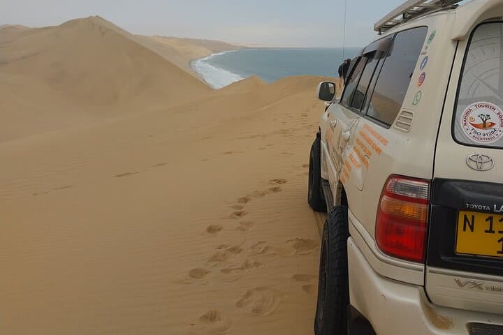 Full-Day Sandwich Harbour Dune & Wildlife Safari from Walvis Bay photo 4
