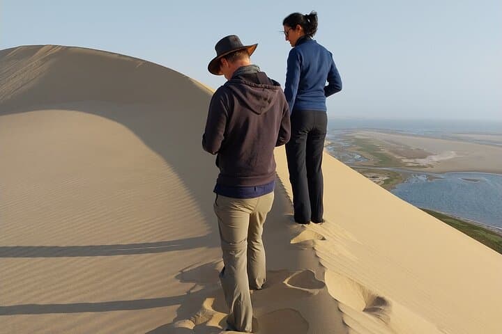 Full-Day Sandwich Harbour Dune & Wildlife Safari from Walvis Bay photo 6