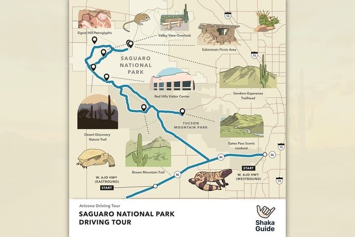 Two-Day Self-Guided Tucson Driving Tours: Saguaro National Park & Mt. Lemmon Scenic Byway photo 6