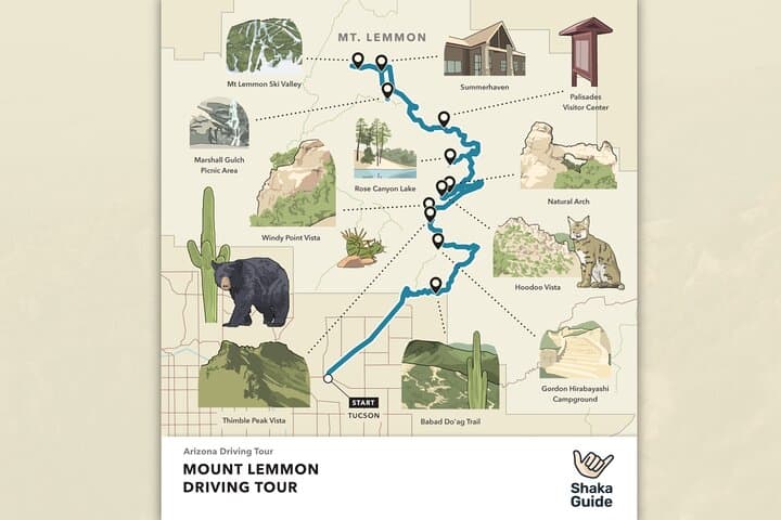 Two-Day Self-Guided Tucson Driving Tours: Saguaro National Park & Mt. Lemmon Scenic Byway photo 4