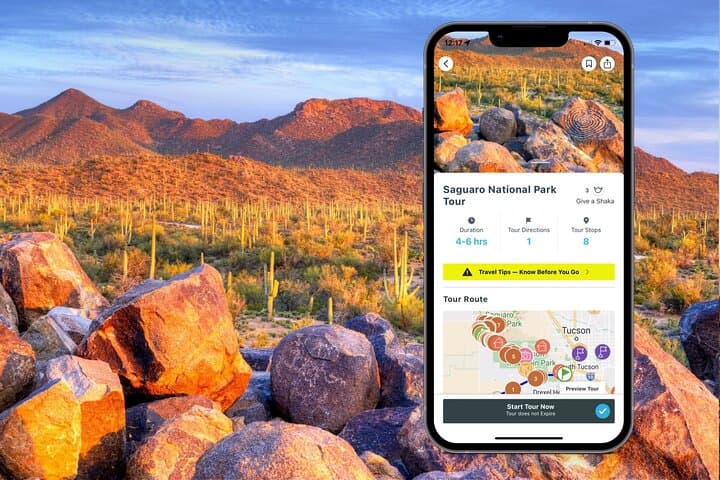 Self-Guided Saguaro National Park Driving Tour: Best Stops, Tips & Map