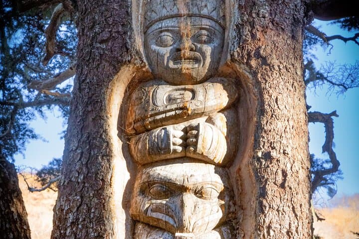 Juneau Trails and Ale: Mount Roberts Tram, Totem Loop & Beer Garden photo 4