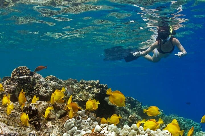Kona Private Charter — 4-Hour Customizable Boat Trip to Kealakekua & Manta Sites photo 3