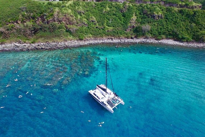 Ka'anapali Morning Express Snorkel: 2-5-Hour Turtle and Reef Adventure