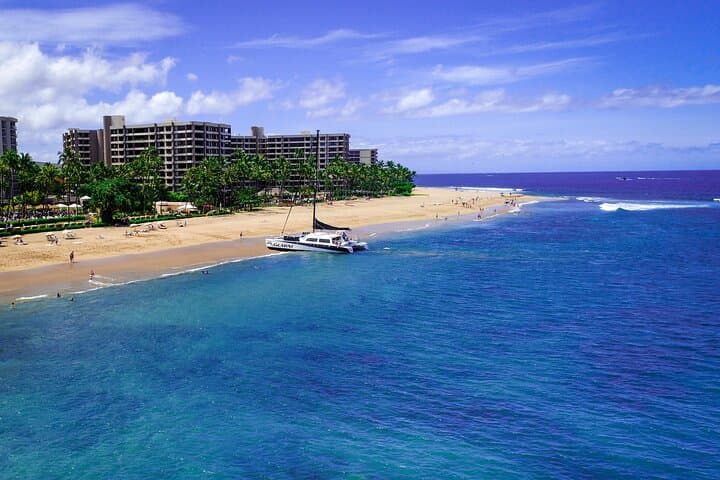 Ka'anapali Morning Express Snorkel: 2-5-Hour Turtle and Reef Adventure photo 3