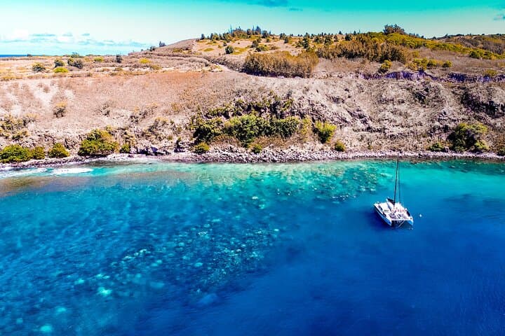 Ka'anapali Morning Express Snorkel: 2-5-Hour Turtle and Reef Adventure photo 4