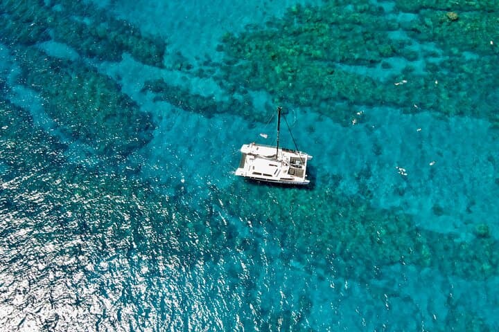 Ka'anapali Morning Express Snorkel: 2-5-Hour Turtle and Reef Adventure photo 5
