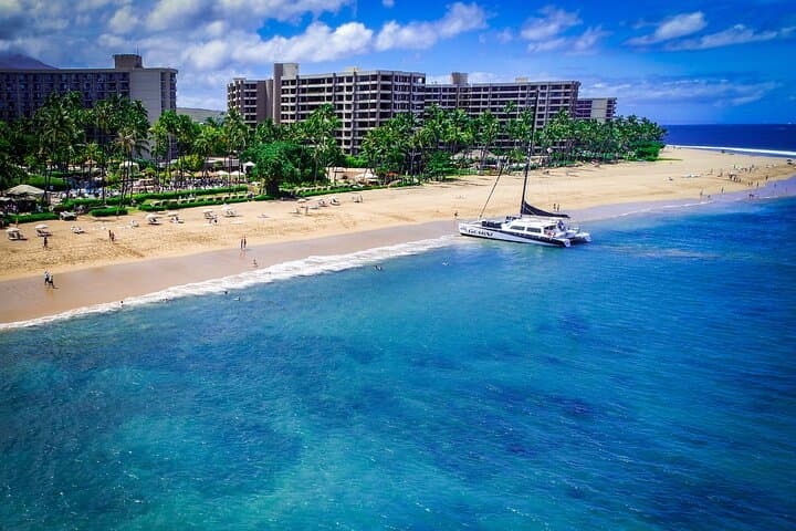 Ka'anapali Morning Express Snorkel: 2-5-Hour Turtle and Reef Adventure photo 6