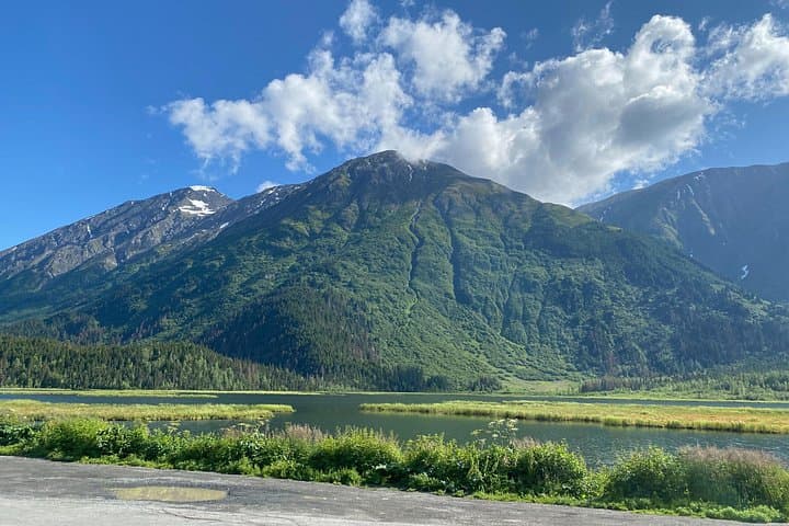 Whittier to Anchorage Half Day Transit Tour: Wildlife, Scenic Views & Alaska’s History photo 3