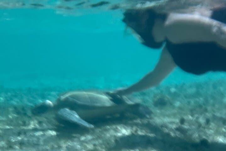 Bahamas Sea Scooter Snorkeling at Paradise Cove — Easy Reef Exploration photo 6
