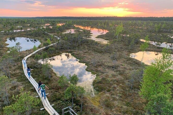 Sunset Walk on the Great Kemeri Bog Boardwalk — Kemeri National Park photo 2