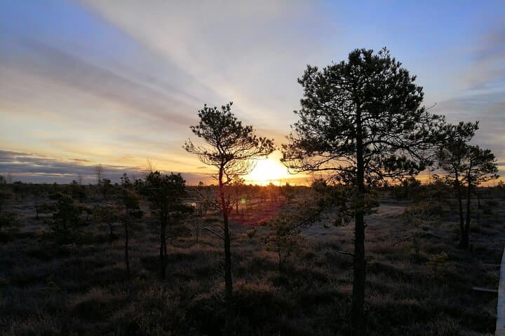 Sunset Walk on the Great Kemeri Bog Boardwalk — Kemeri National Park photo 6