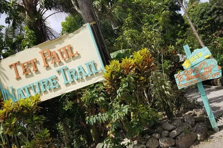 Sulphur Springs Park Soufriere: Geothermal Mud Baths & Waterfall Tour photo 4
