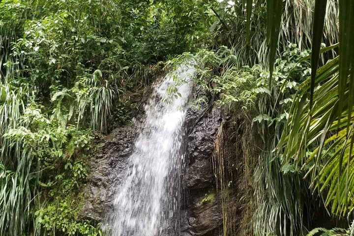 Sulphur Springs Park Soufriere: Geothermal Mud Baths & Waterfall Tour photo 6