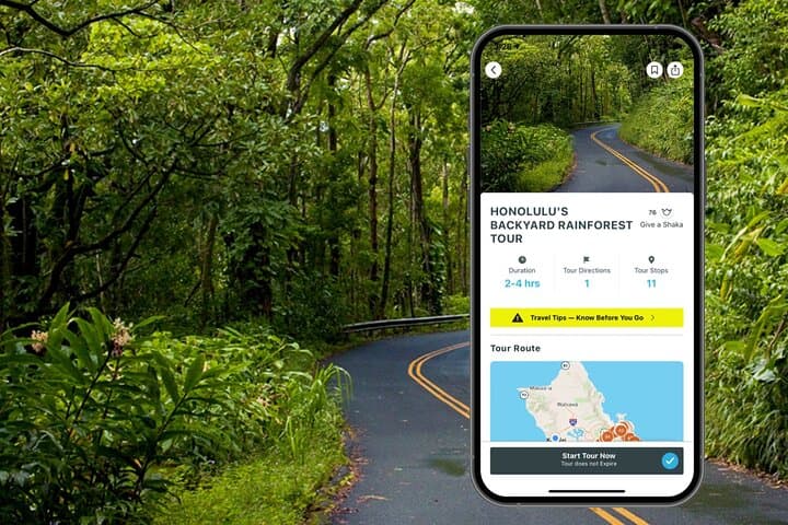 Honolulu Rainforest Audio Drive: Manoa Falls, Tantalus Lookout & Chinatown