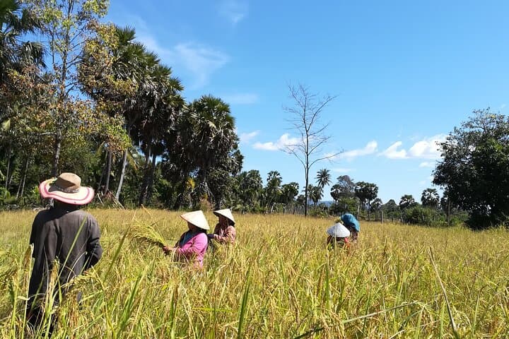 Siem Reap Village Biking: Half-Day Ride to West Baray & Local Markets photo 5