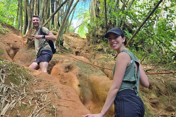 El Yunque Rainforest & Luquillo Kiosk Day Trip: Hike, Swim, and Local Eats photo 4