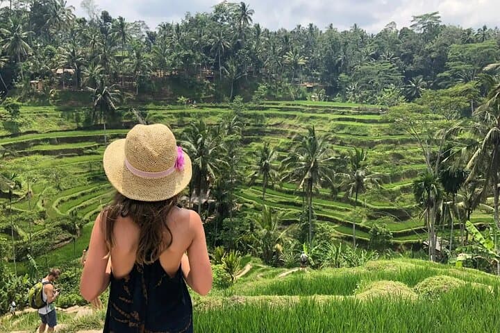 Best of Ubud Private Tour: Monkey Forest, Rice Terraces & Waterfalls