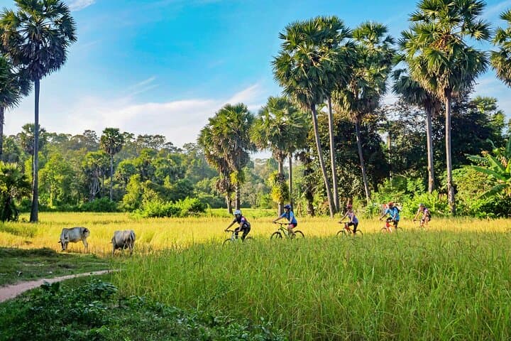 Siem Reap Countryside Bike & E‑Bike Tour — 30km Through Villages, West Baray and Crafts