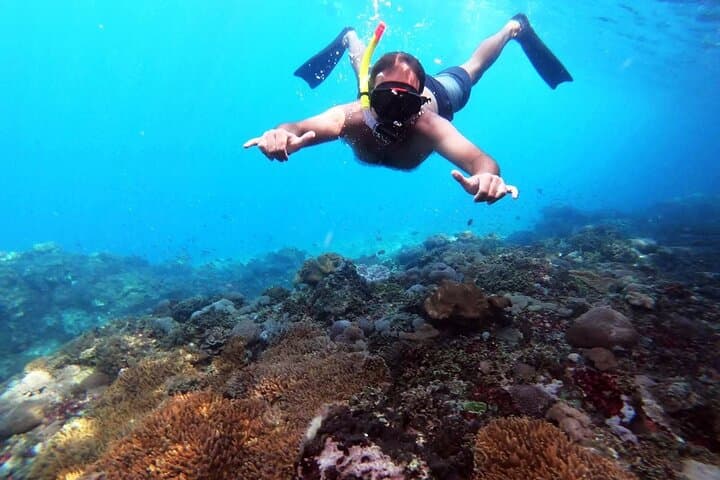Snorkel with Majestic Mantas: Nusa Penida's Hidden Gems photo 2