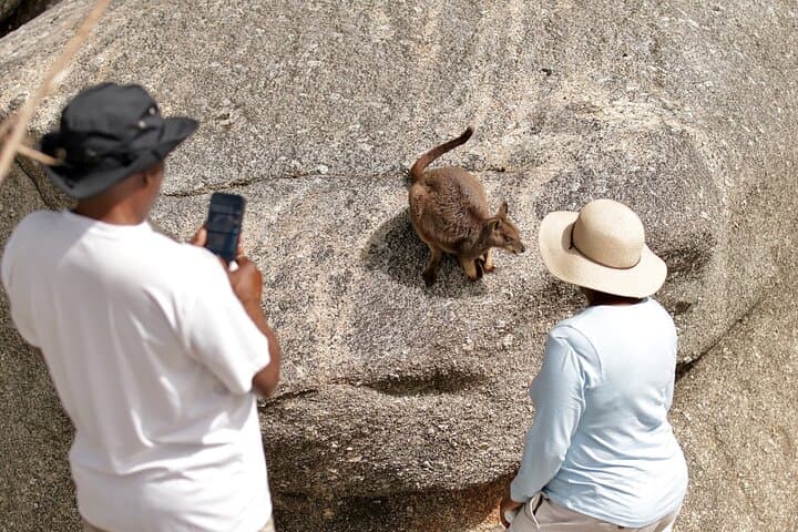 Port Douglas Wildlife & Rainforest Safari — Private Full-Day Tour photo 2