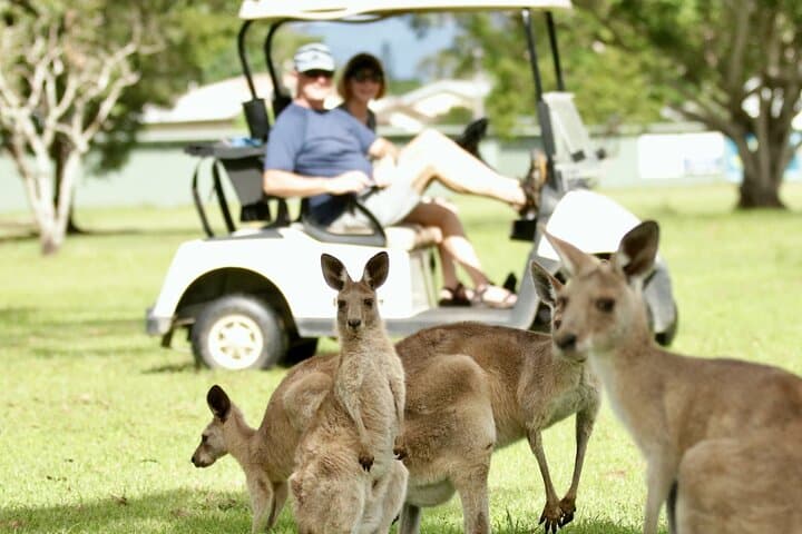 Port Douglas Wildlife & Rainforest Safari — Private Full-Day Tour photo 3