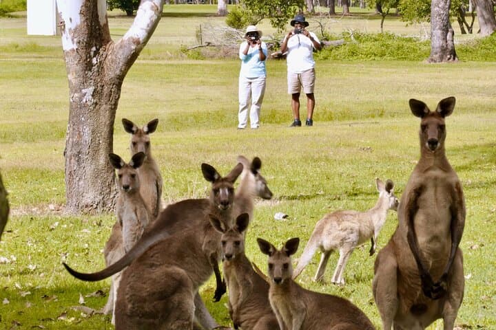 Port Douglas Wildlife & Rainforest Safari — Private Full-Day Tour photo 5