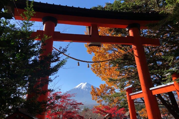 Mount Fuji Full-Day Sightseeing from Tokyo: Kawaguchiko, Oshino Hakkai & 5th Station photo 4