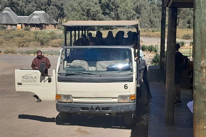 Aquila Big 5 Safari with Fairview Wine Tasting — Day Trip from Cape Town photo 4