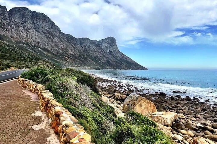 Full-Day Hermanus Whale Watching & Hemel en Aarde Wine Tasting from Cape Town photo 4