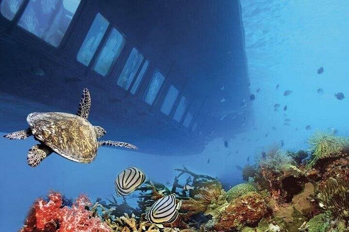 Hurghada Red Sea Semi-Submarine and Snorkeling at Giftun Island photo 4