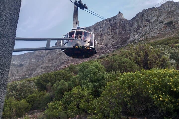 Table Mountain and Constantia Wine Tasting: Full-Day Tour from Cape Town photo 5