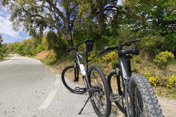 Cycle the Blue Village from Ronda: Moderate Genal Valley Ride photo 3
