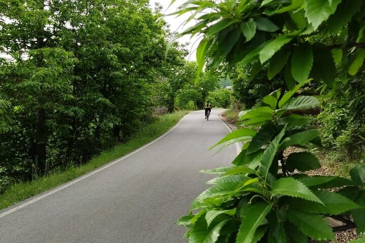 Cycle the Blue Village from Ronda: Moderate Genal Valley Ride photo 6