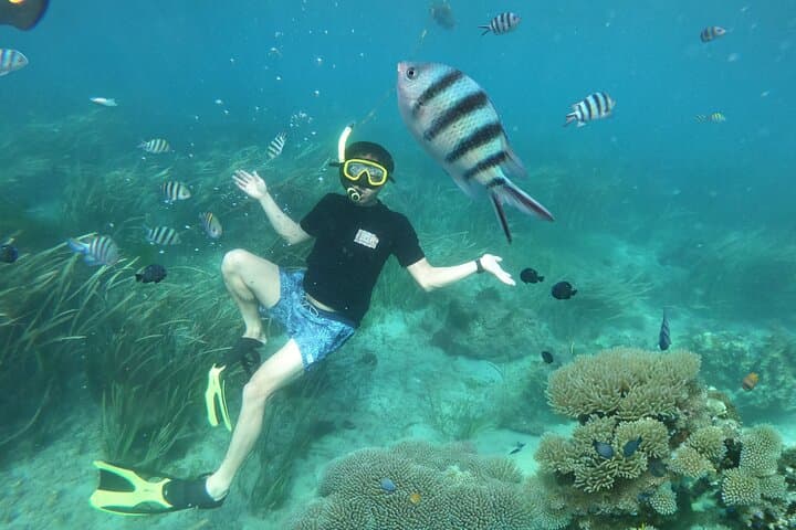 Bali Tropical Snorkeling and Mangrove Cruise — Snorkel Serangan Reefs & Turtle Island