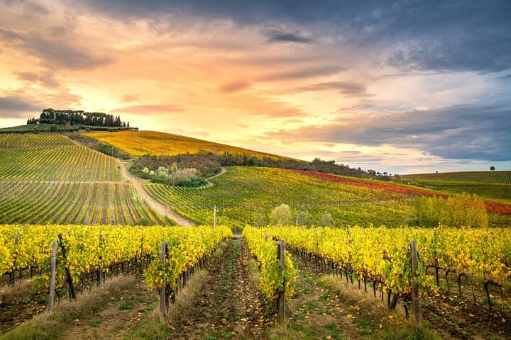 Chianti and Castles Day Tour from San Gimignano — Wine Tastings, Castellina & Monteriggioni photo 5