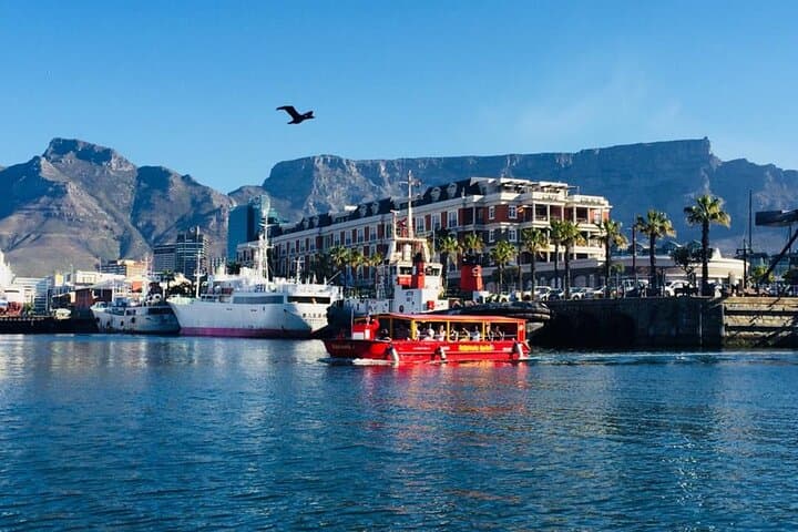 private-cape-town-city-tour-afrogem-constantia-winelands photo 3