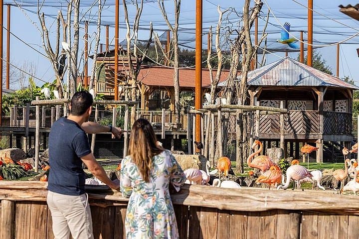 Parrot World Paris: Immersive South American Wildlife Park Near Disneyland