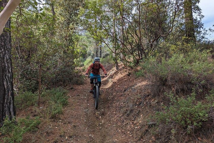 Cyprus Enduro eMTB: Troodos Single-Track Adventure photo 3