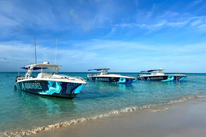Nassau Island-Hopping by 45ft Powerboat: Snorkel Turtles, Sandy Cay & Beach Bar Lunch photo 5