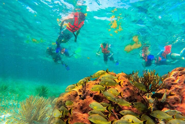Snorkel Puerto Morelos: Great Maya Reef Day Trip with Town Walk & Beach Lunch photo 4
