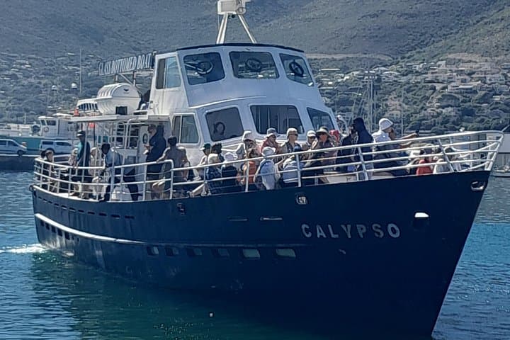 Cape Point & Cape of Good Hope Private Tour — Penguins, Coastal Drives and Chapman's Peak photo 3