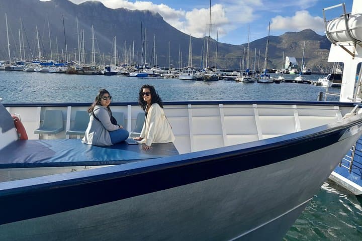 Cape Point & Cape of Good Hope Private Tour — Penguins, Coastal Drives and Chapman's Peak photo 4