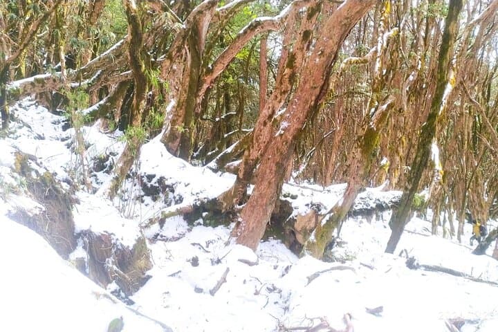 4-Day Mardi Himal Base Camp Trek from Pokhara — Annapurna Views photo 3