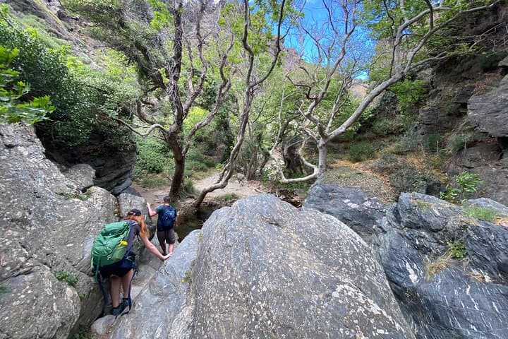 Richtis Gorge Waterfall Hike — Guided 8km Walk to Crete’s 20m Cascade photo 6
