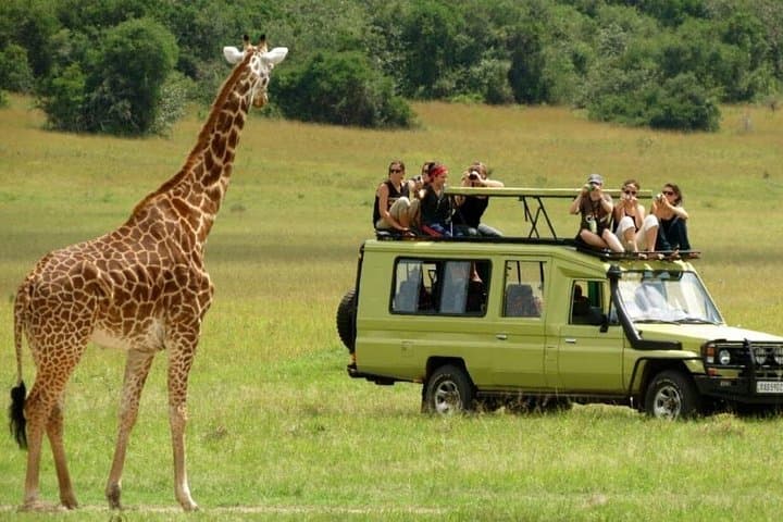 Full-Day Game Drive to Tala Game Reserve, Natal Park & Phezulu from Durban