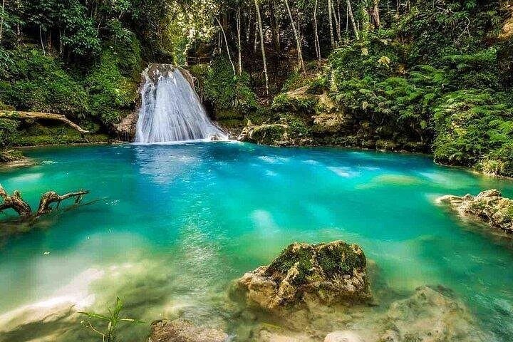 Dunns River Falls and Blue Hole Tour — Climb, Swim & Rope Swing in Ocho Rios photo 3
